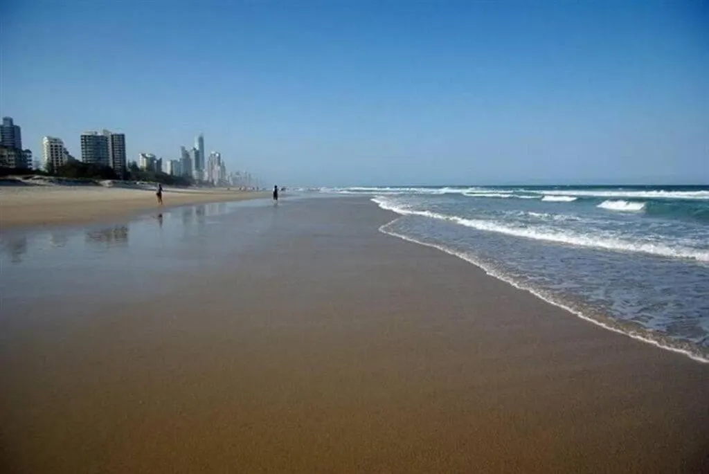 Apartment Surfers Paradise - 1 Bedroom Fully Furnished Apt Gold Coast